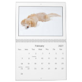 Mack及び友人のカレンダー2010年 カレンダー (2月 2027)