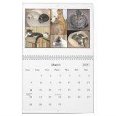 Mack及び友人のカレンダー2010年 カレンダー (3月 2027)