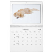 Mack及び友人のカレンダー2010年 カレンダー (2月 2026)