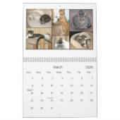 Mack及び友人のカレンダー2010年 カレンダー (3月 2026)