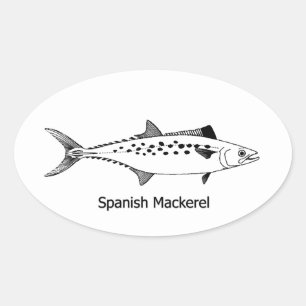 Mackerel -スペインのヴィンテージラインアート 楕円形シール