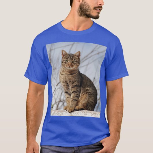 Mackerel Tabby Cat Tシャツ (正面)