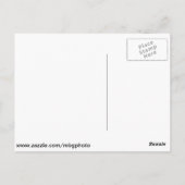 Mackinacの島の建物 ポストカード (裏面)