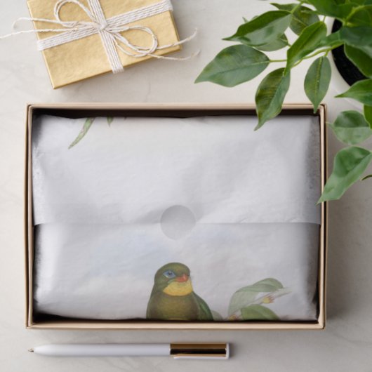 Macklot's Trogon, Decompage 薄葉紙 (ギフト)