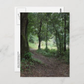 Maclayの庭 ポストカード (正面/裏面)