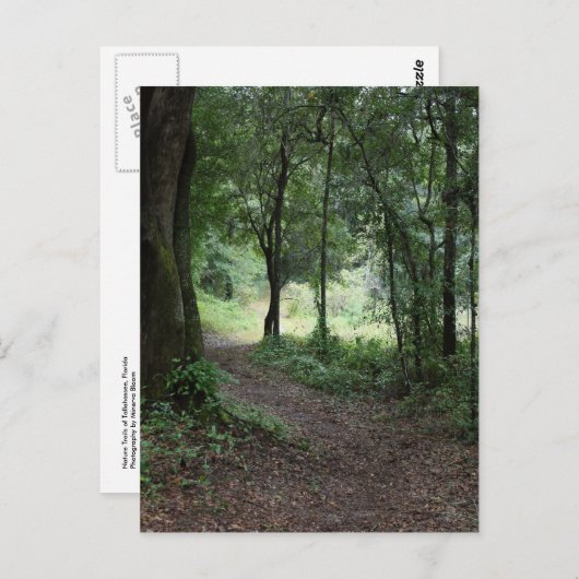 Maclayの庭 ポストカード (正面/裏面)