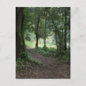 Maclayの庭 ポストカード (正面)