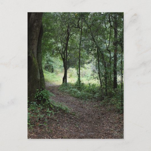 Maclayの庭 ポストカード (正面)