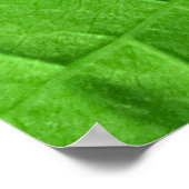 Macro Green Leaf：エコロジー植物 ポスター (角)