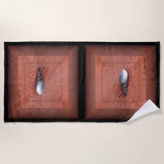 Macro Photograph of Snail on Terracotta ビーチタオル (正面)