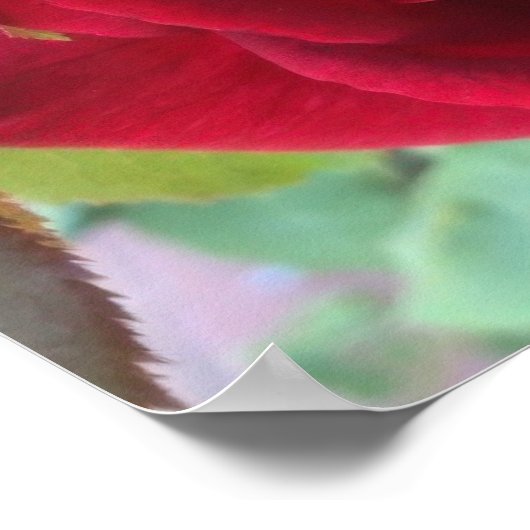 Macro Red Rose ポスター (角)