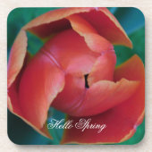 Macro Red Tulip Flower Photography Plastic Coaster コースター (正面)