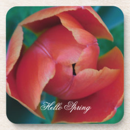 Macro Red Tulip Flower Photography Plastic Coaster コースター