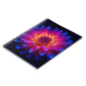 Macro Stellar Burst ノートブック (左側)