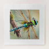 Macromia Dragonfly 200924IREF242 - Watercolor ジグソーパズル (横)