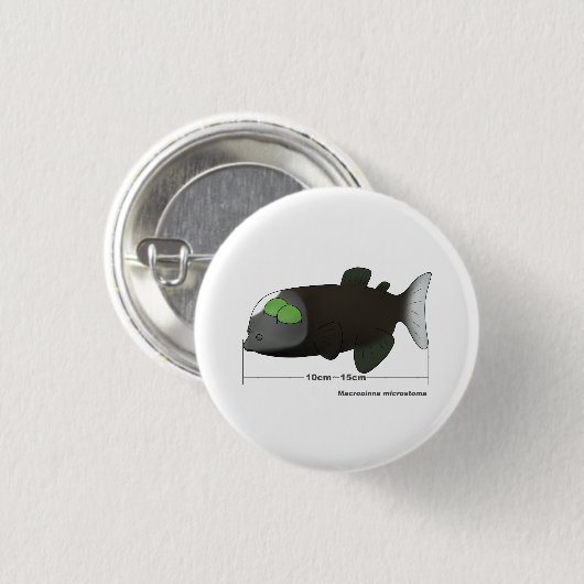 Macropinna microstoma actual size 缶バッジ (正面&裏面)