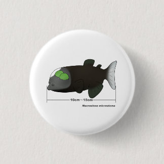Macropinna microstoma actual size 缶バッジ