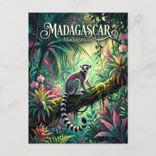 Madagascar Rainforests Madagascar ポストカード (正面)