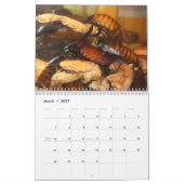 Madagasgarの音を立てるゴキブリの壁掛けカレンダー カレンダー (3月 2027)