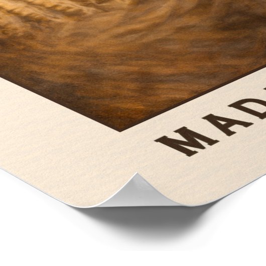 Madam C.J. Walker Portrait Art ポスター (角)