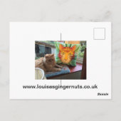 MadCatWomanおよびPolecats ポストカード (裏面)