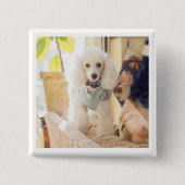 Maddie 缶バッジ (正面)