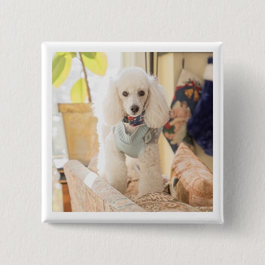 Maddie 缶バッジ (正面)