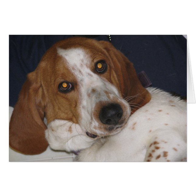 Maddyはよろしいです (正面横)