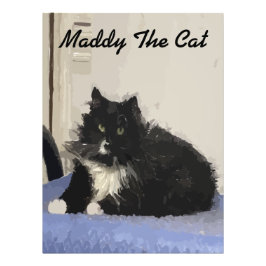 Maddy The Catのポスター写真 フォトプリント