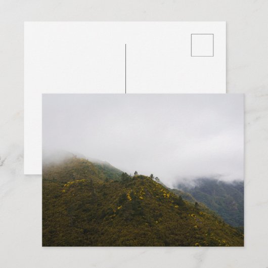 Madeira hills in misty clouds, moody nature ポストカード (正面/裏面)