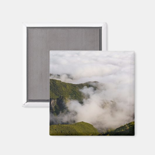 Madeira mountains in misty clouds, moody nature マグネット (正面/裏面)