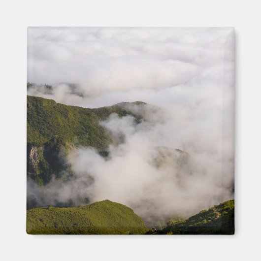 Madeira mountains in misty clouds, moody nature マグネット (正面)
