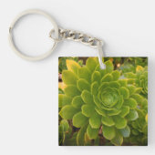 Madeira's Green Embrace キーホルダー (正面)