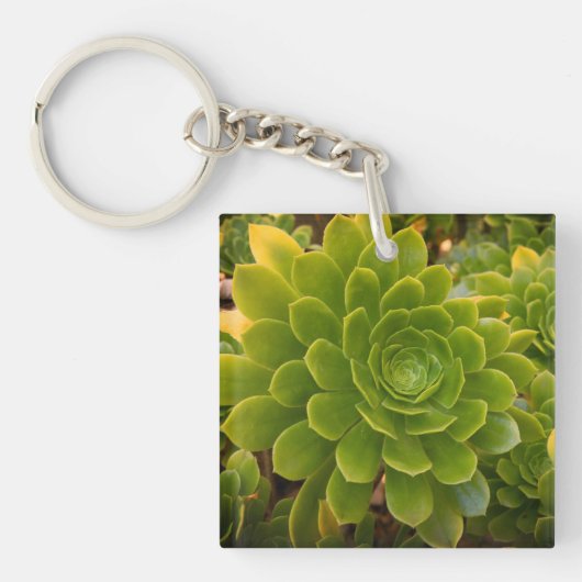 Madeira's Green Embrace キーホルダー (正面)