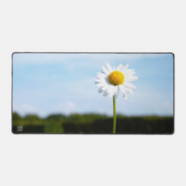 Madelief rechtop geisoleerd in de natuur. デスクマット