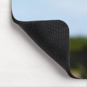 Madelief rechtop geisoleerd in de natuur. マウスパッド (コーナー)