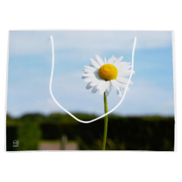 Madelief rechtop geisoleerd in de natuur. ラージペーパーバッグ