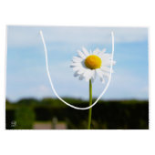 Madelief rechtop geisoleerd in de natuur. ラージペーパーバッグ (裏面)