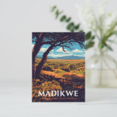 Madikwe Reserve South Africa ポストカード (スタンド正面)
