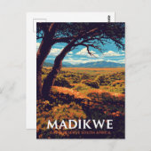 Madikwe Reserve South Africa ポストカード (正面/裏面)