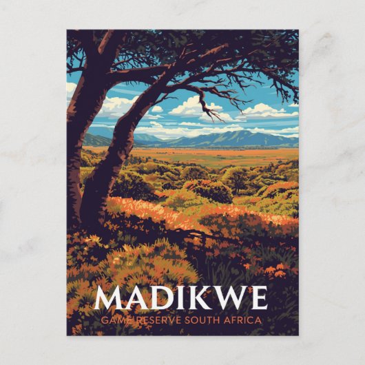 Madikwe Reserve South Africa ポストカード (正面)