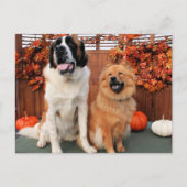 Mae - St Bernard and Cinny - Chow Photo-4 ポストカード (正面)