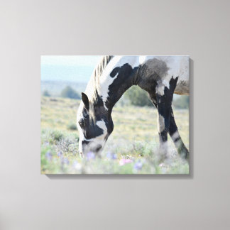 Maestroストレッチキャンバス20 x 16 キャンバスプリント