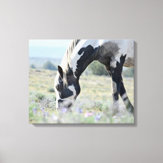 Maestroストレッチキャンバス20 x 16 キャンバスプリント (正面)