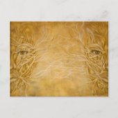 Maet/Nemesis ポストカード (正面)