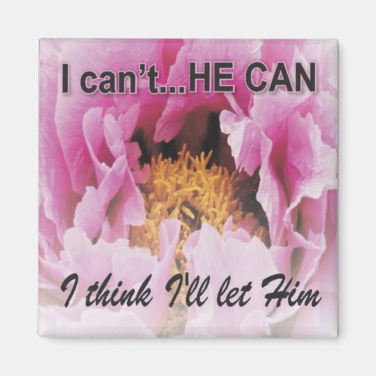 mag8hecan マグネット (正面)