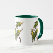 Mag: Parakeet - by John Audubon マグカップ (正面右)