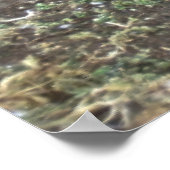 Magellanic Penguin Family ポスター (角)