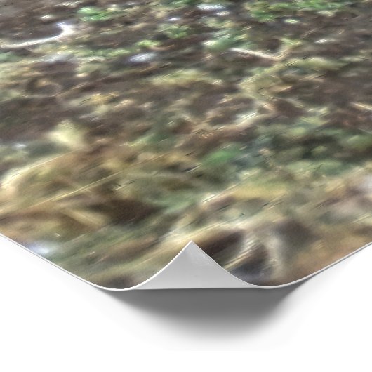 Magellanic Penguin Family ポスター (角)