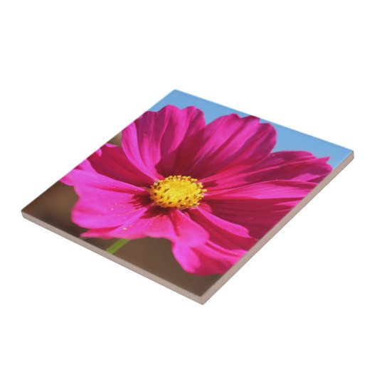 Magenta Flower タイル (側面)